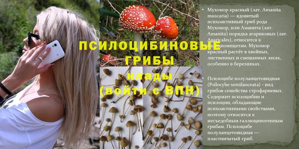 скорость mdpv Белокуриха