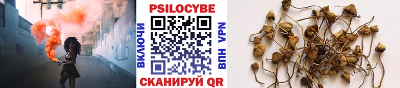Галлюциногенные грибы Psilocybine cubensis  как найти наркотики  Щёкино 
